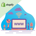cours shopify domain name